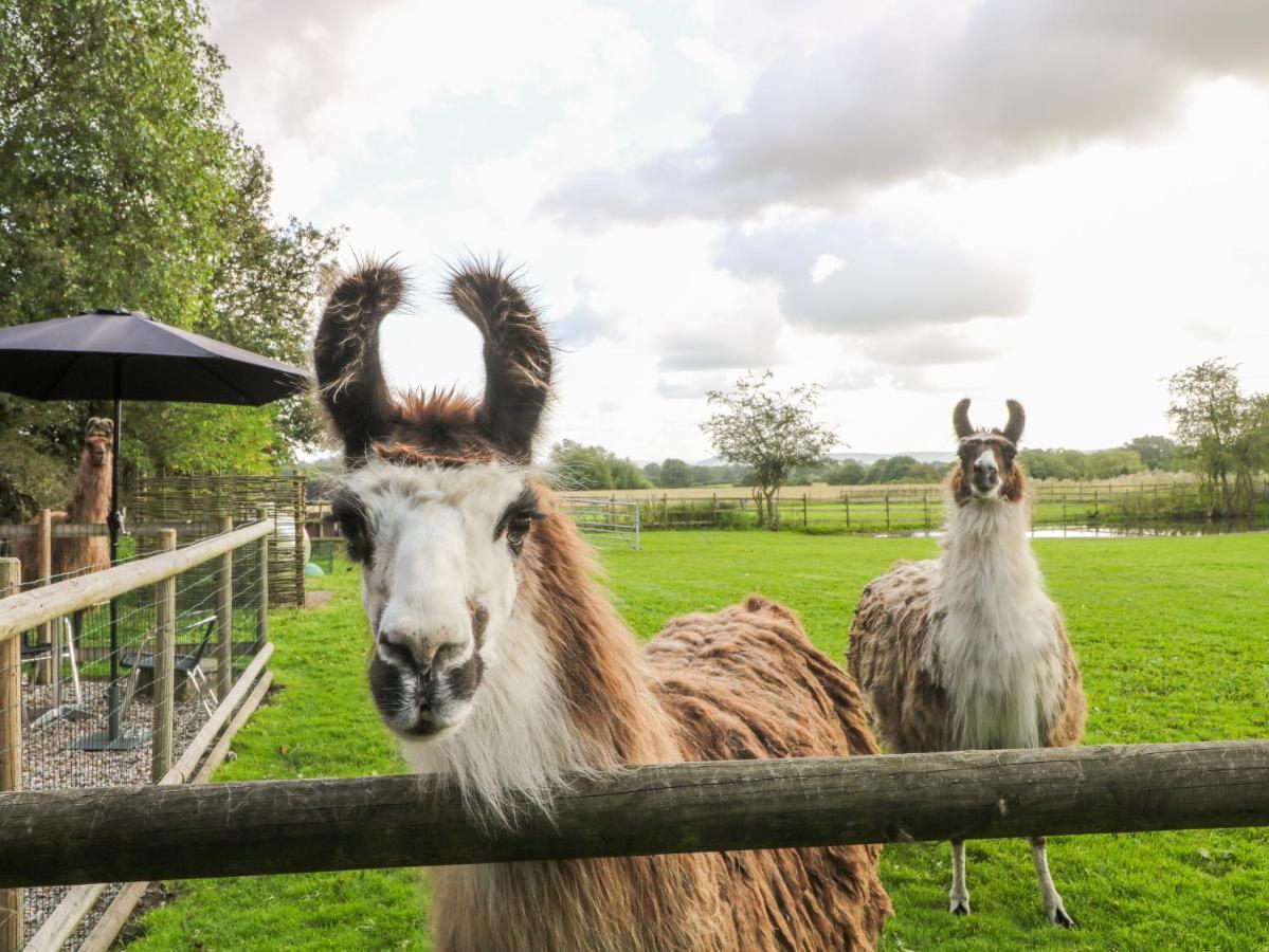 Chequer Stable Villa Brereton ภายนอก รูปภาพ
